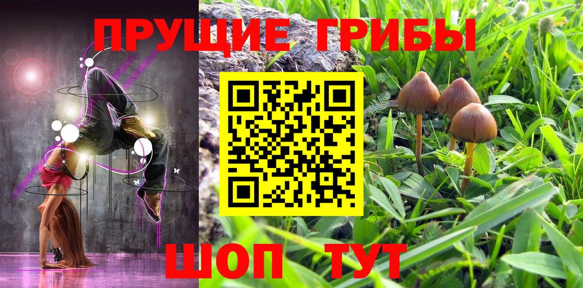 Галлюциногенные грибы Cubensis  Псилоцибиновые грибы MAGIC MUSHROOMS  Вход с VPN  цена наркотик  Вязники 