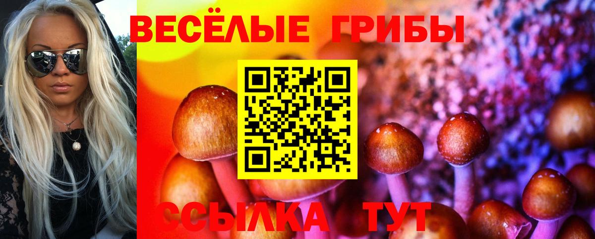 Псилоцибиновые грибы Cubensis  как найти закладки  Вязники 