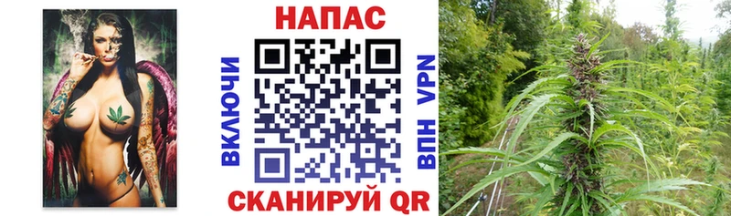 Шишки марихуана LSD WEED  Вязники 